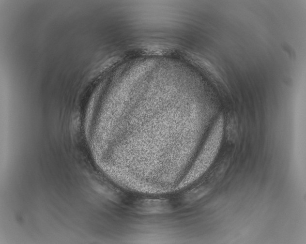 X0000110860314200907021421