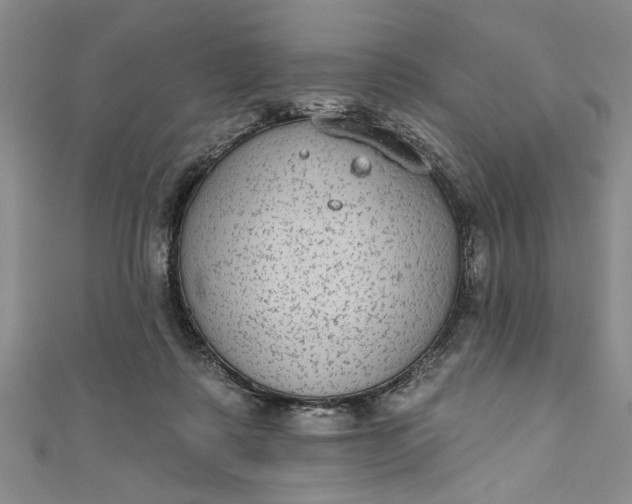 X0000110860315200907021421