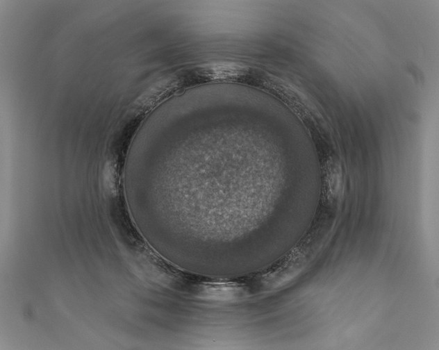 X0000110860316200907021421