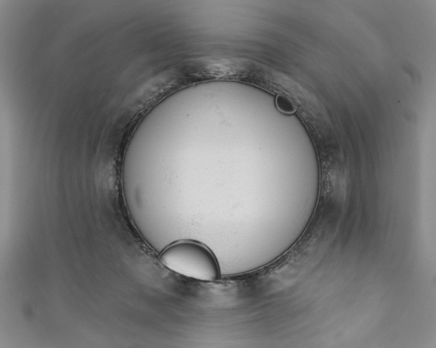 X0000110860317200907021421