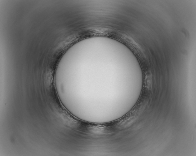 X0000110860318200907021421