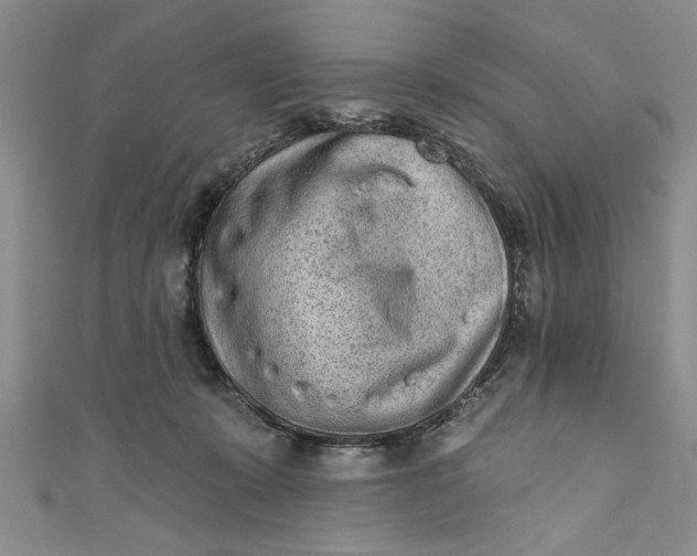 X0000110860319200907021421