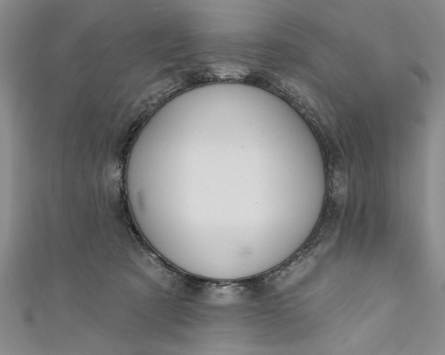 X0000110860321200907021421