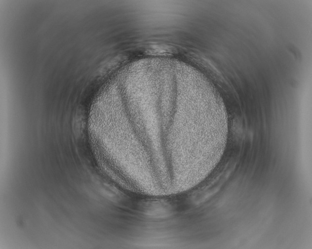 X0000110860322200907021421