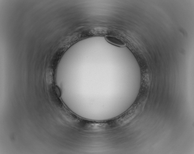 X0000110860323200907021421