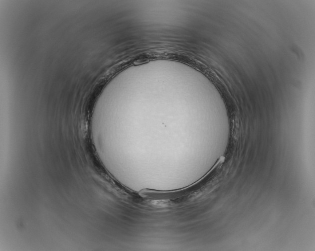 X0000110860324200907021421