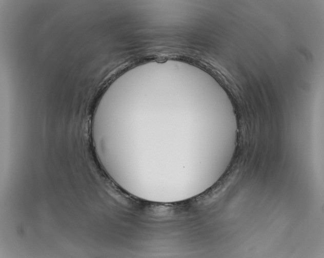 X0000110860325200907021421