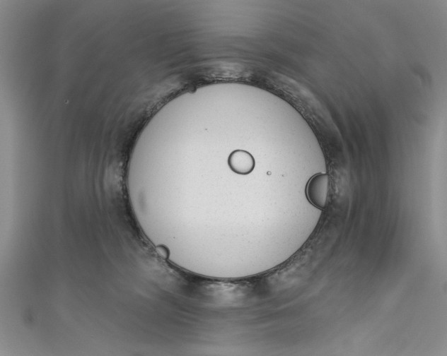 X0000110860326200907021421