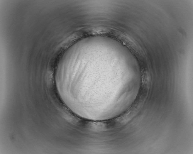 X0000110860327200907021421