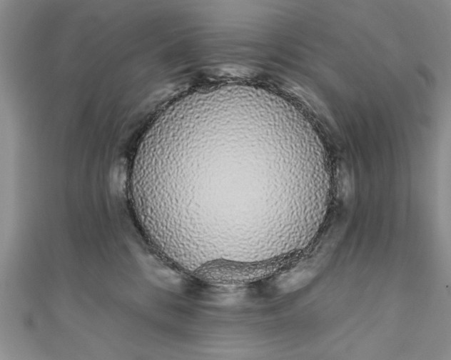 X0000110860328200907021421