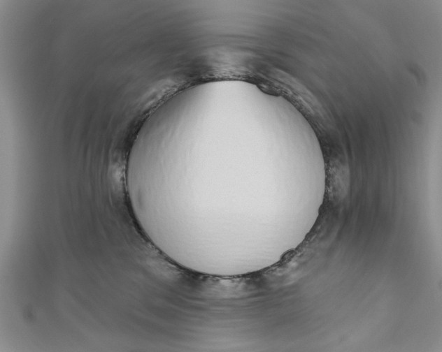 X0000110860329200907021421