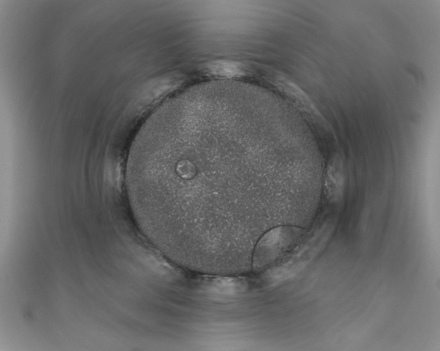 X0000110860330200907021421