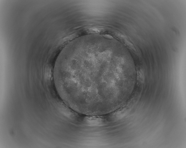 X0000110860331200907021421