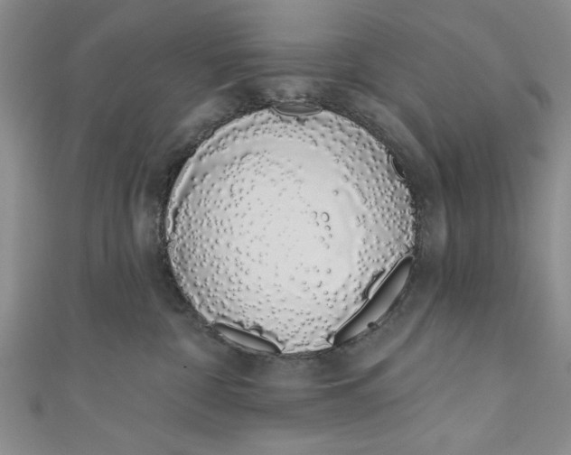 X0000110860332200907021421