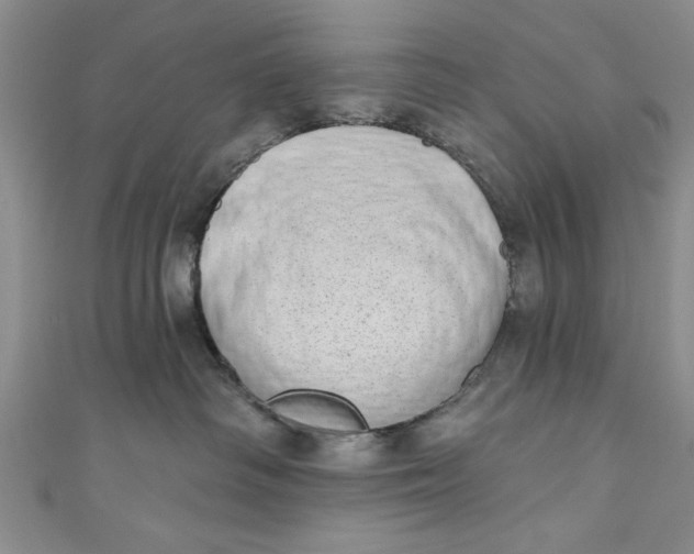 X0000110860334200907021421