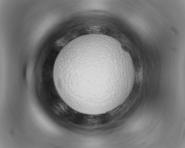 X0000110860335200907021421