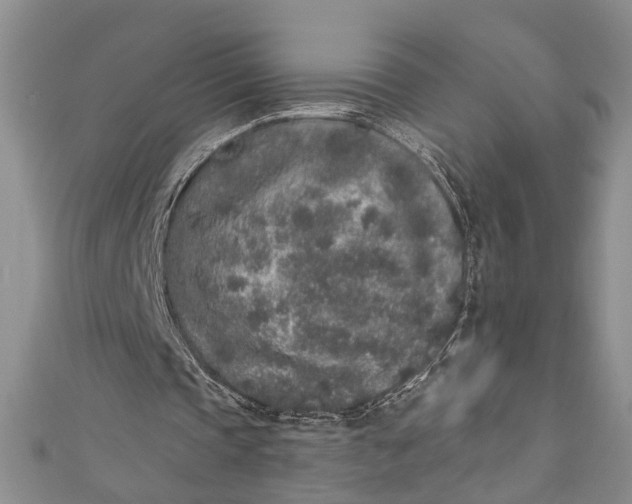 X0000110860337200907021420