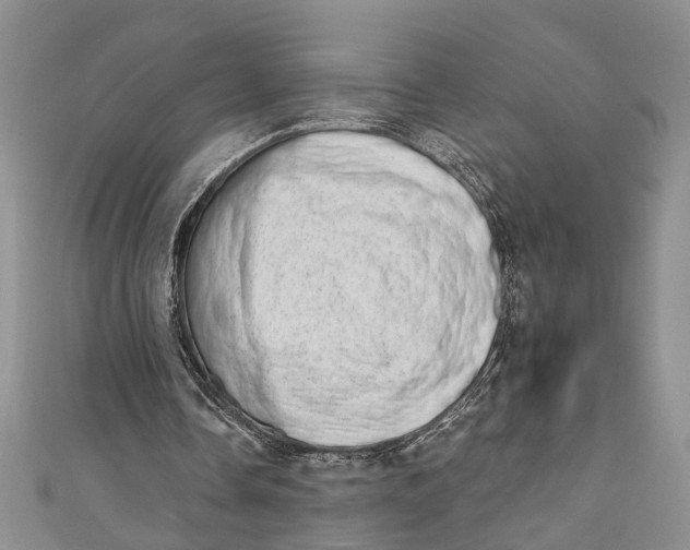 X0000110860338200907021420