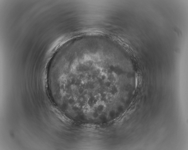 X0000110860339200907021420