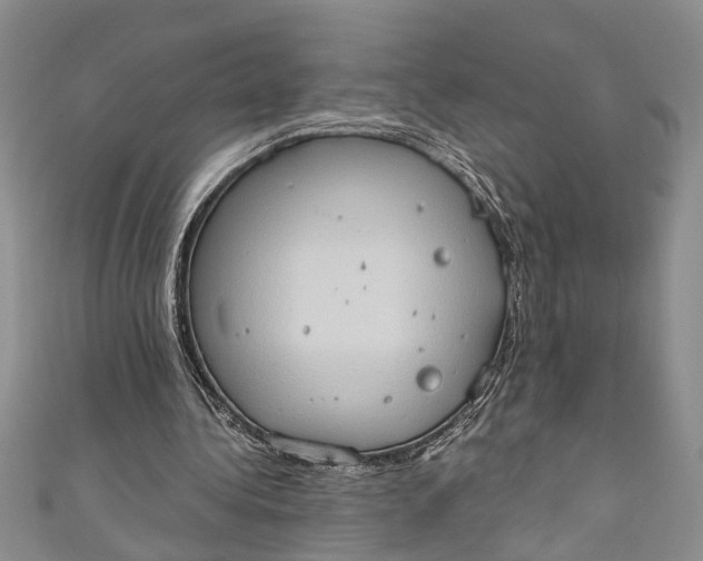 X0000110860340200907021420