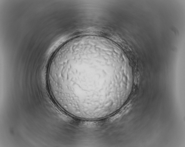 X0000110860341200907021420