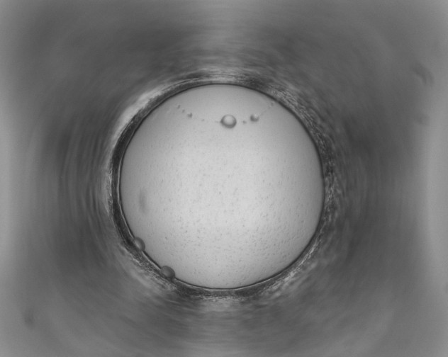 X0000110860342200907021420