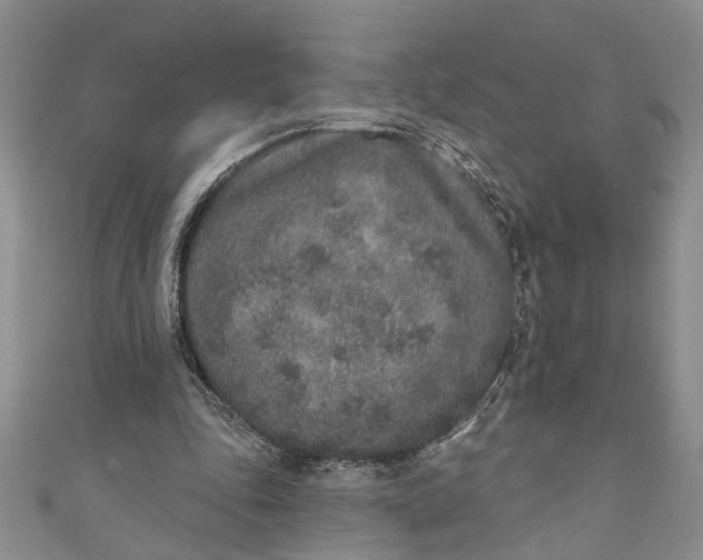 X0000110860343200907021420