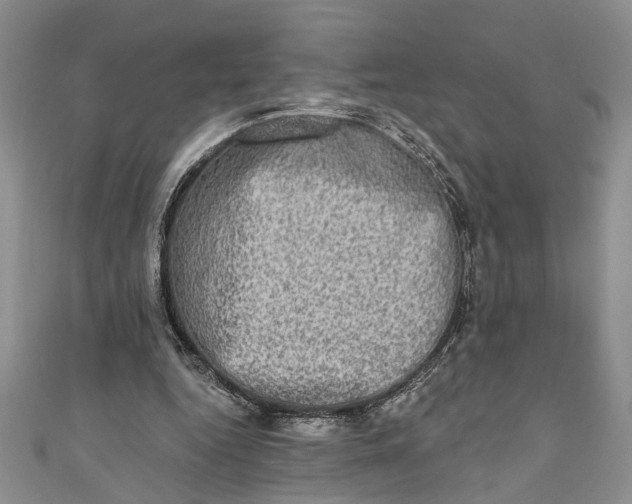 X0000110860344200907021420