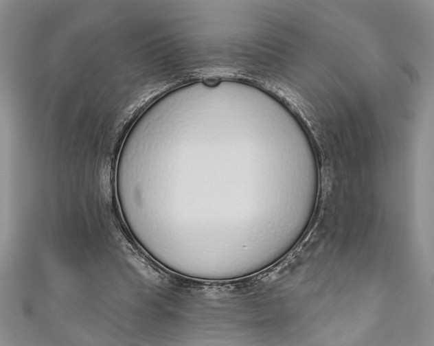 X0000110860345200907021420