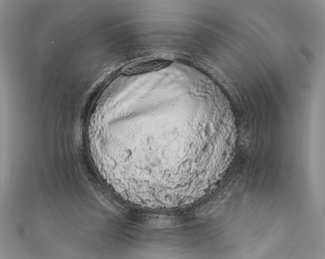 X0000110860347200907021420