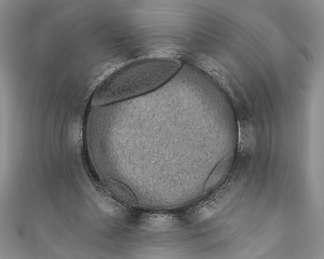 X0000110860348200907021420