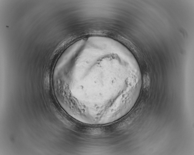 X0000110860349200907021420