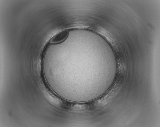 X0000110860350200907021420