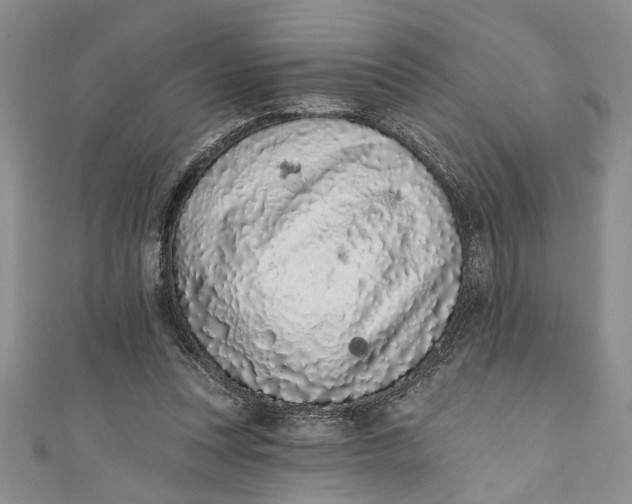 X0000110860351200907021420