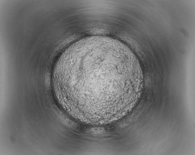 X0000110860353200907021420