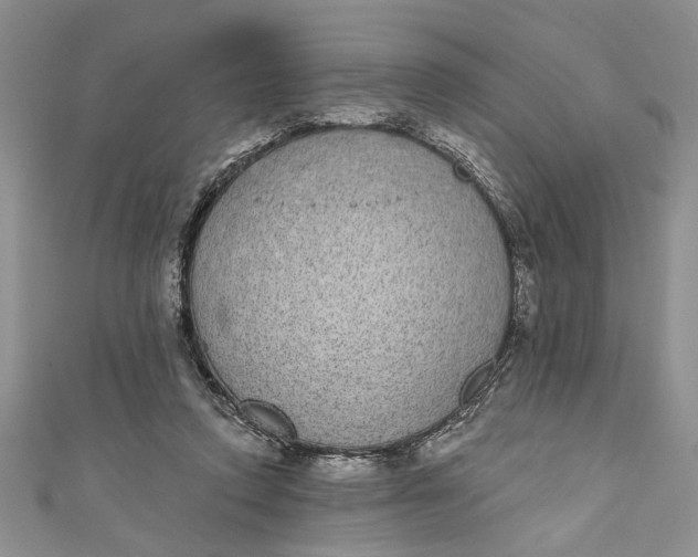 X0000110860354200907021420