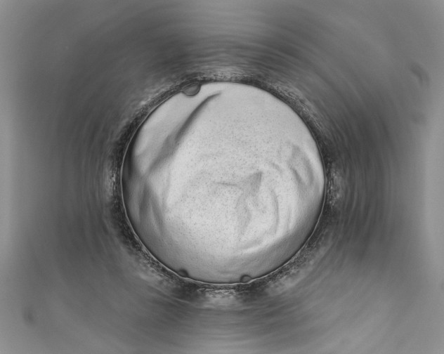 X0000110860355200907021420