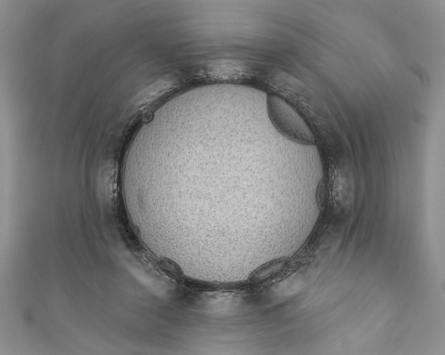 X0000110860356200907021420