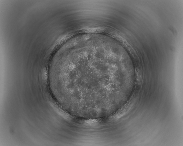 X0000110860357200907021420