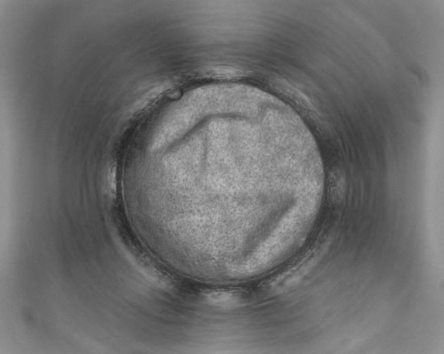 X0000110860358200907021420