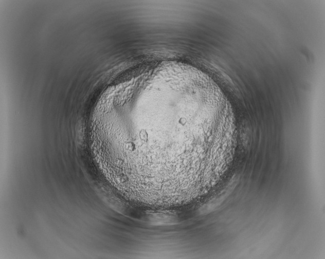 X0000110860359200907021420