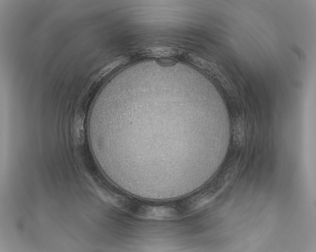 X0000110860360200907021420