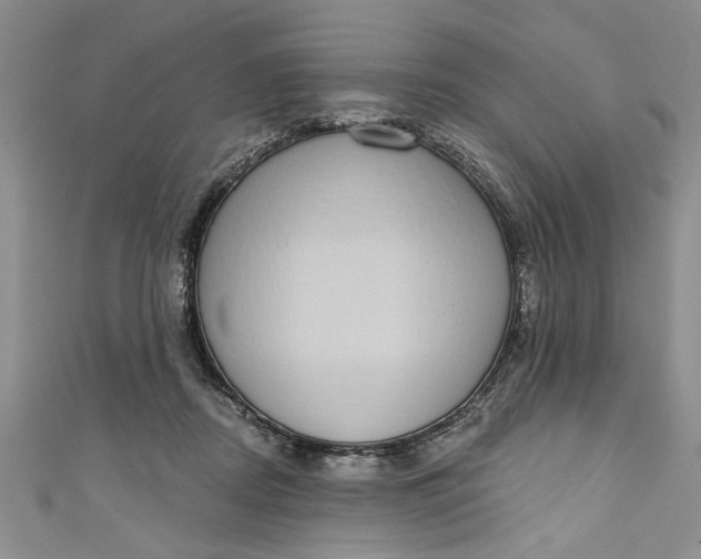 X0000110860362200907021420