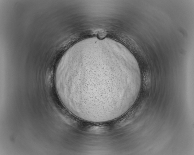 X0000110860364200907021420