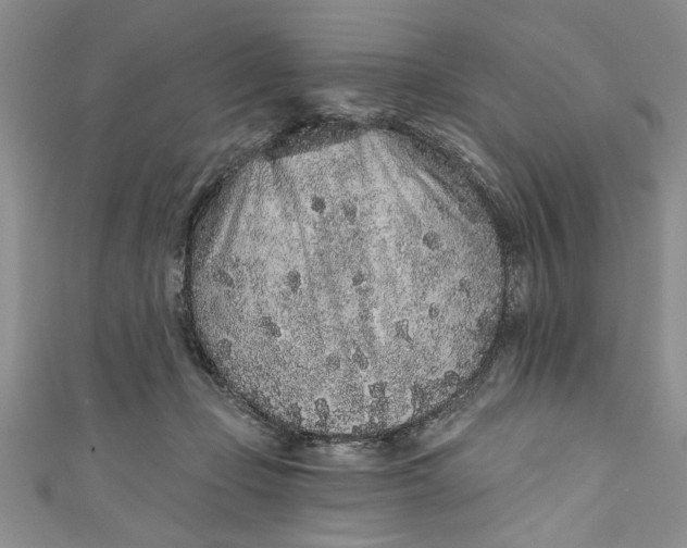 X0000110860365200907021420