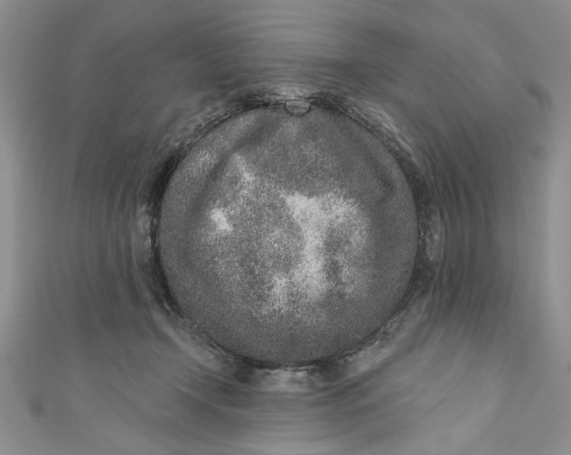 X0000110860366200907021420