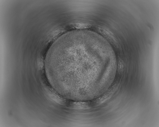 X0000110860367200907021420