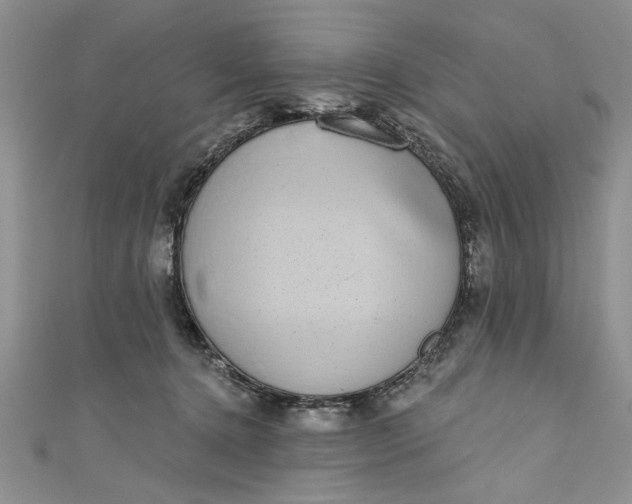 X0000110860368200907021420