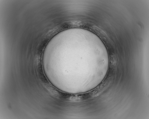 X0000110860369200907021420