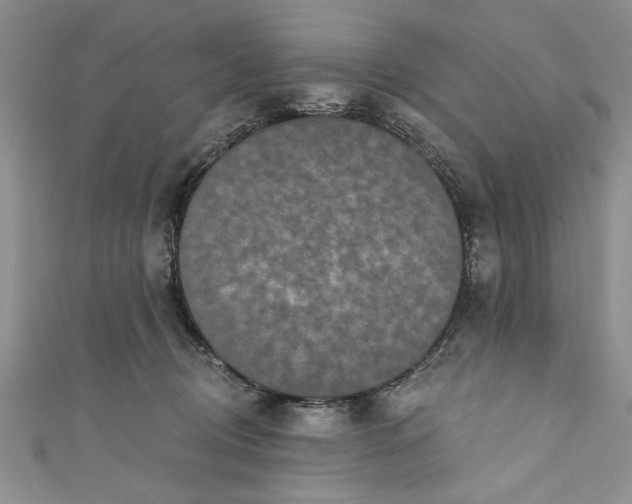 X0000110860370200907021420